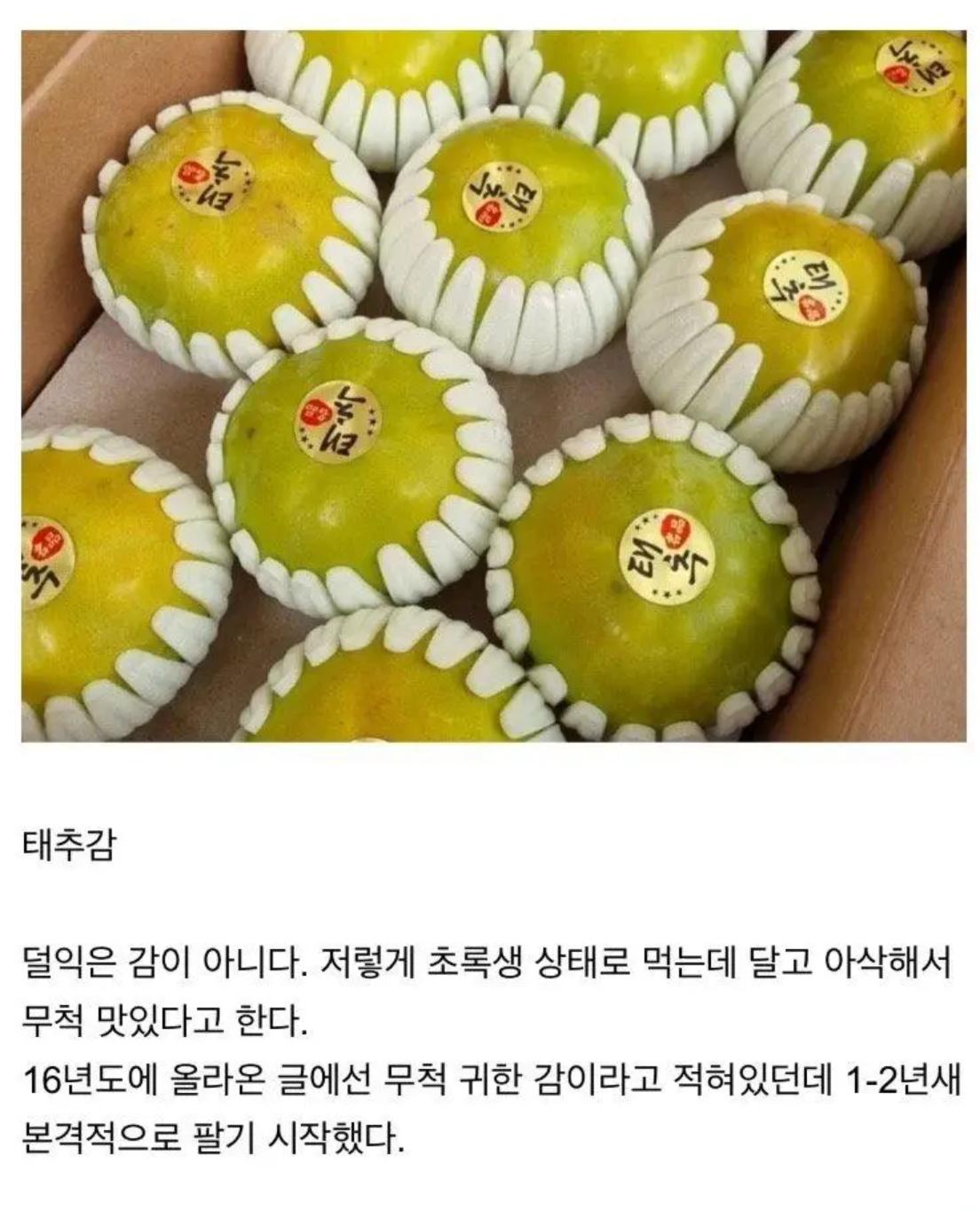 요 몇년간 새로나온 과일들