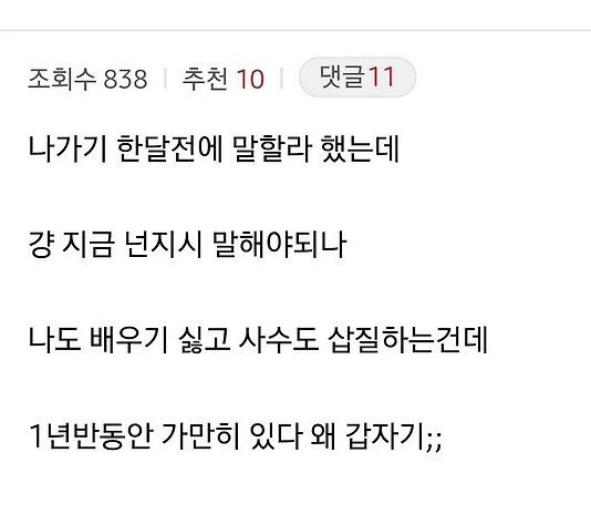 퇴사할려니까 갑자기 일을 알려주는 사수... 아무리봐도...