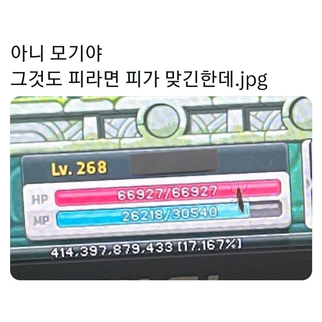 레벨 268의 피를 빨려는 모기