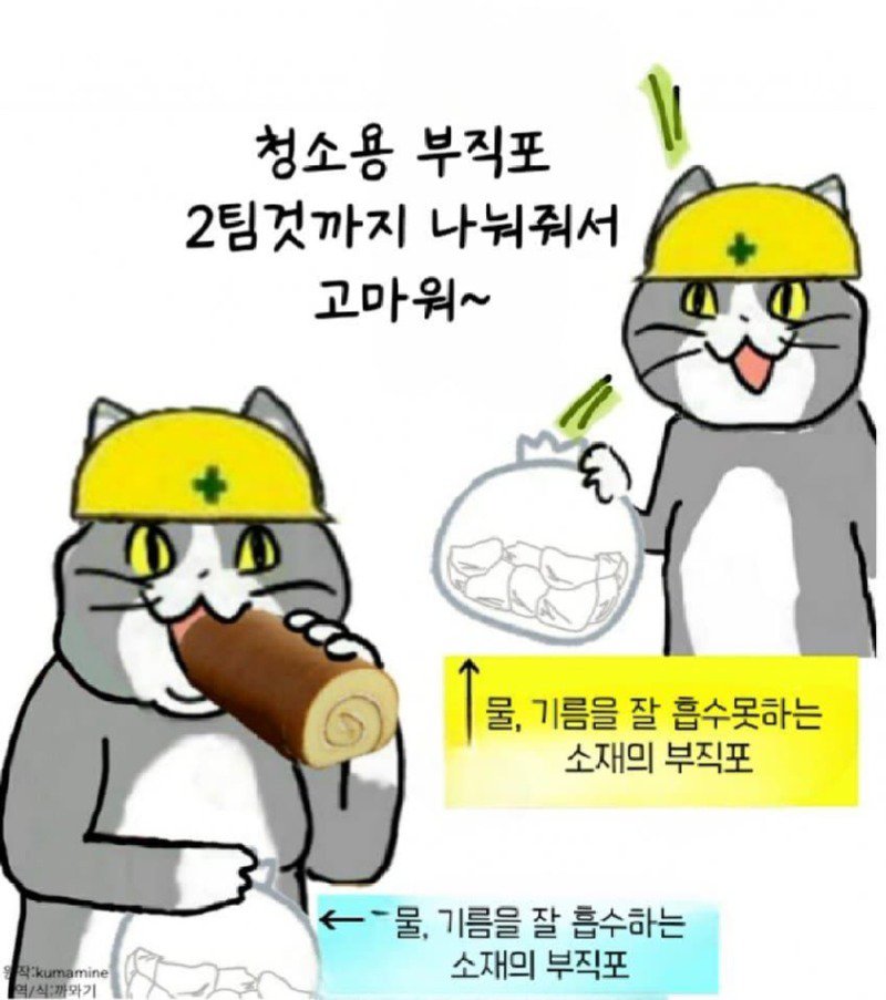 좆소고양이 모음집 