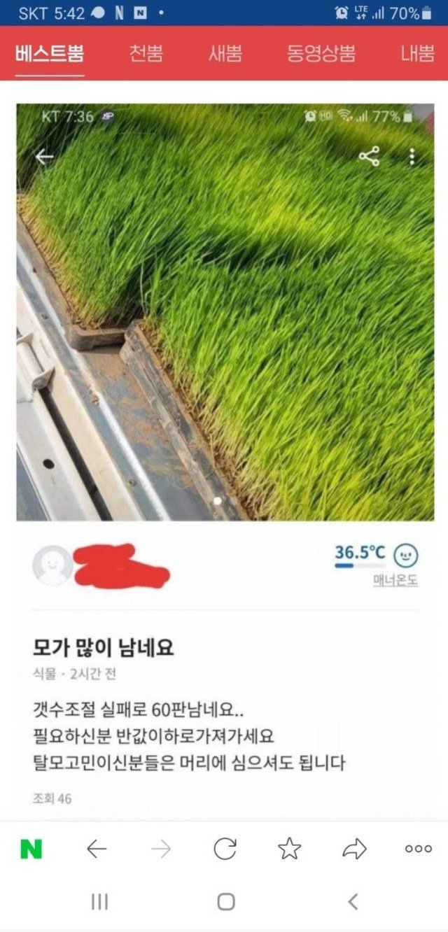 당근마켓 선 많이 넘은 판매자