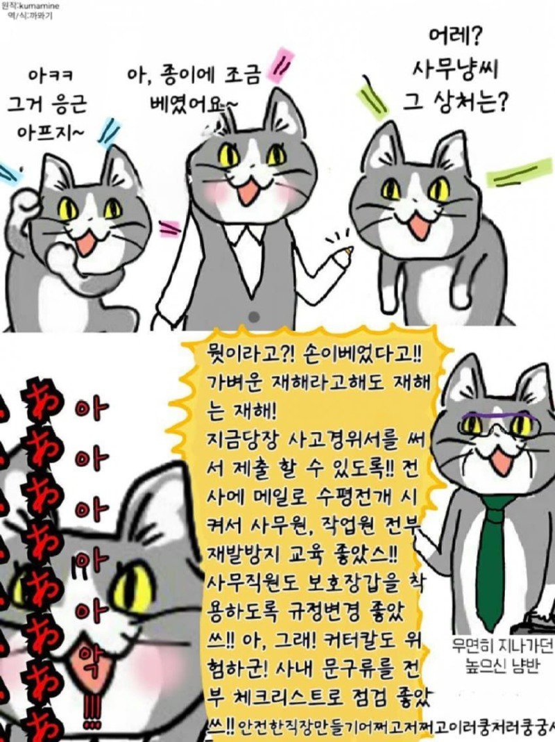 좆소고양이 모음집 