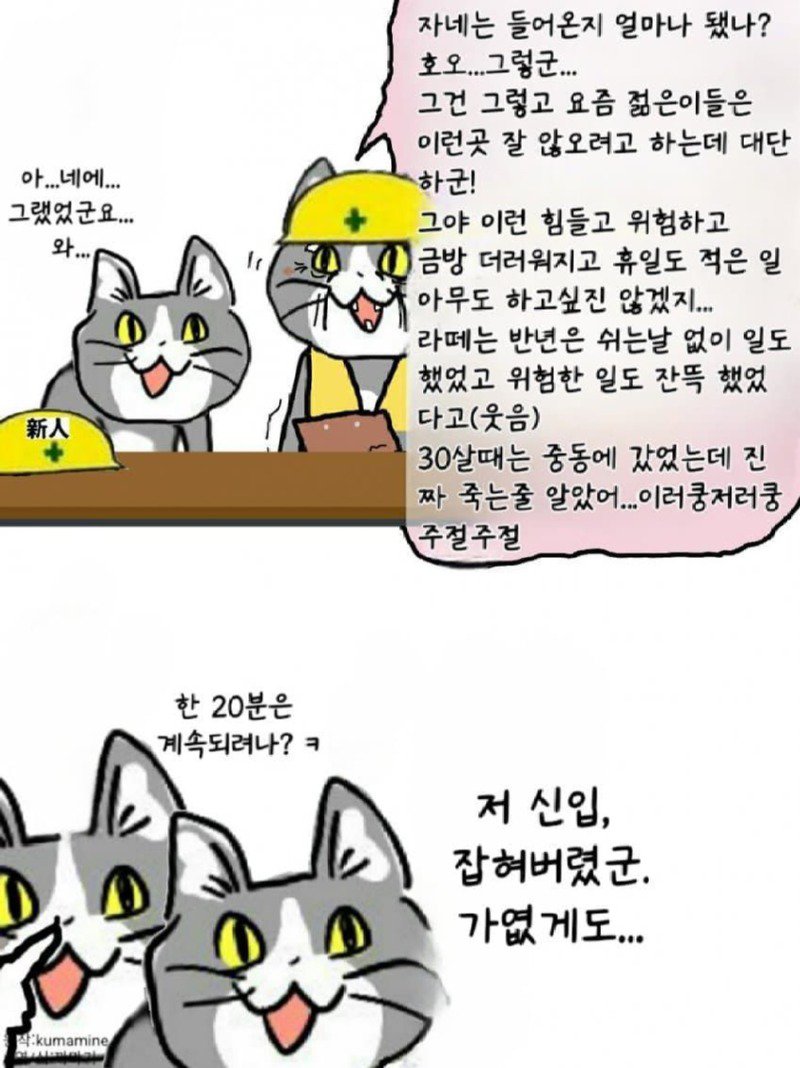 좆소고양이 모음집 