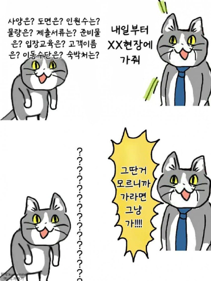 좆소고양이 모음집 