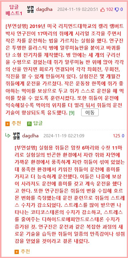 실험용 쥐들이 좋아하는 행동.jpg