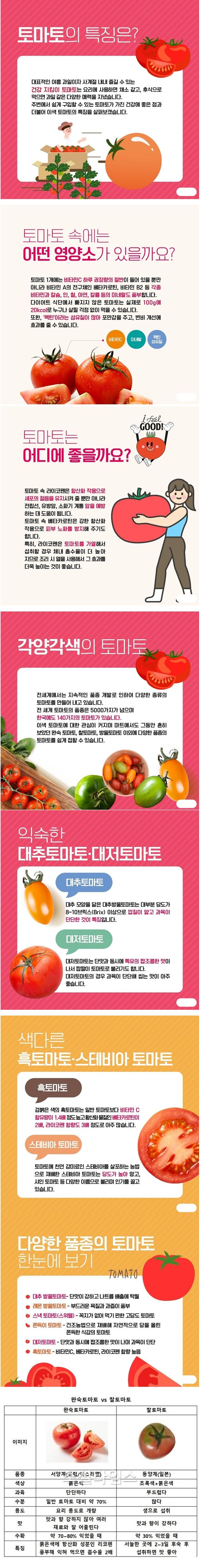 토마토의 특징