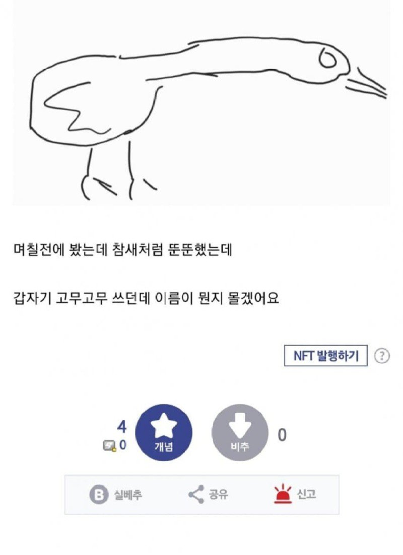 디시의 몇 안되는 청정갤 조류갤의 특징.jpg