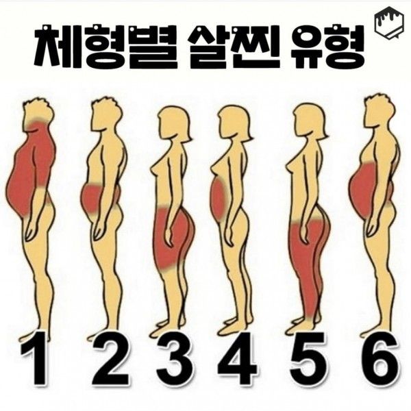 체형별 살찐 유형. 원인과 해결법