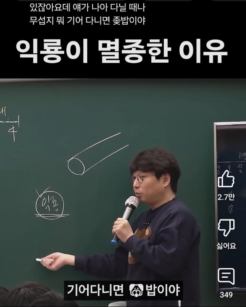 유튜브 보다 긁혀서 쓰는 익룡의 멸종