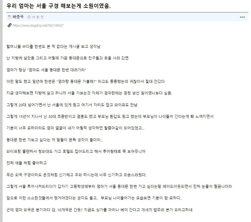 엄마의 소원은 서울구경이었다