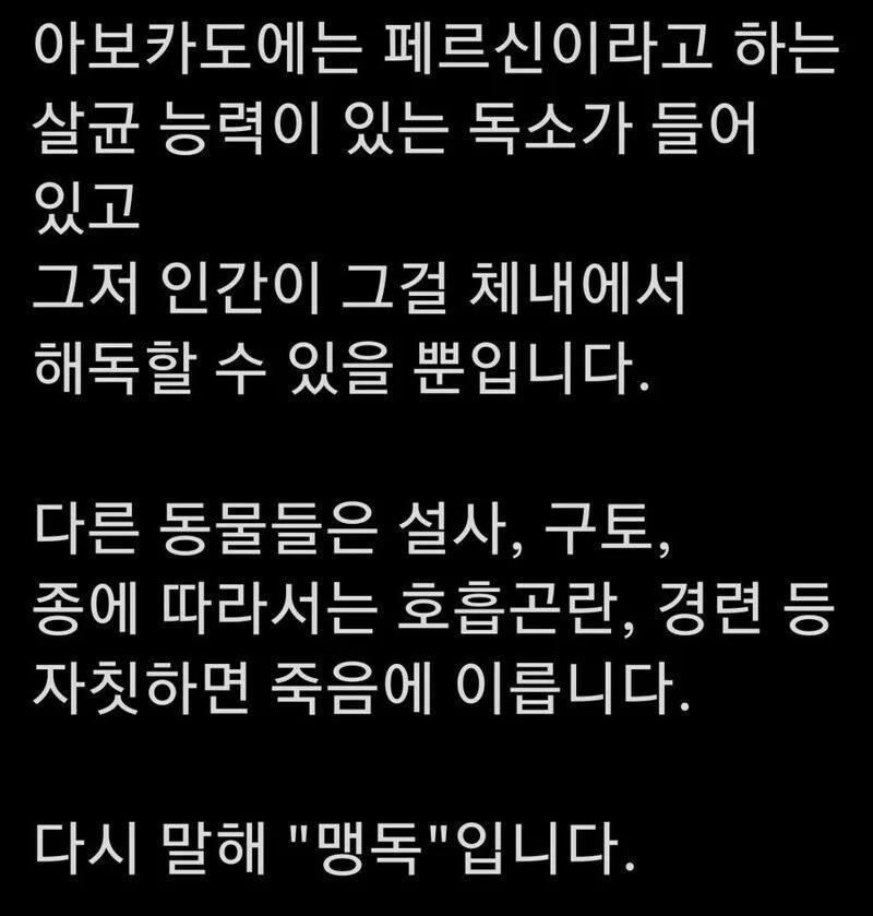 인간만 해독 가능한 맹독 아보카도 ?