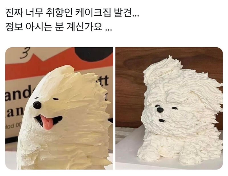 취향저격 케이크