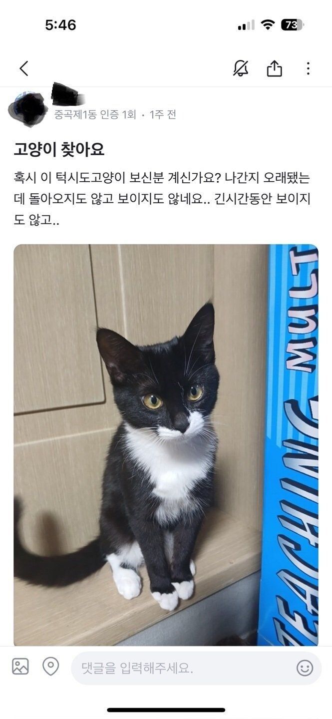 당근마켓에 글 올린 어느 캣맘