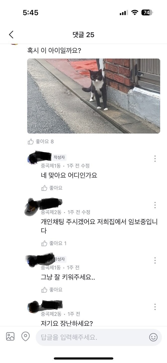 당근마켓에 글 올린 어느 캣맘