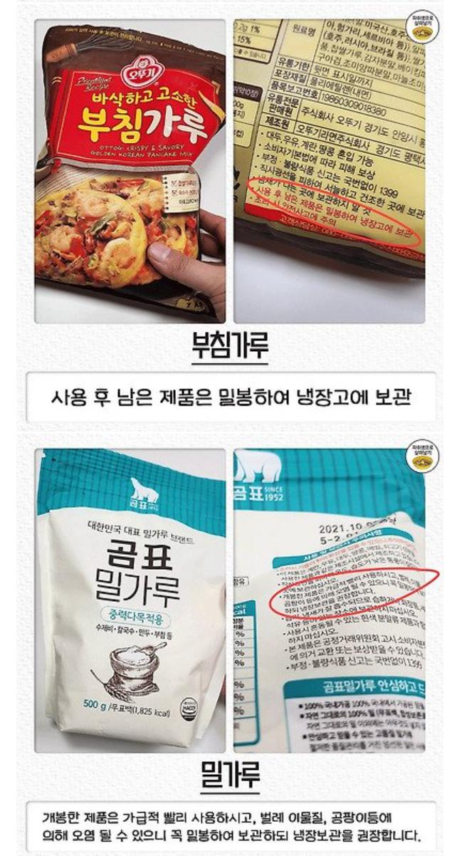 자취생 냉장보관 해야할 식재료