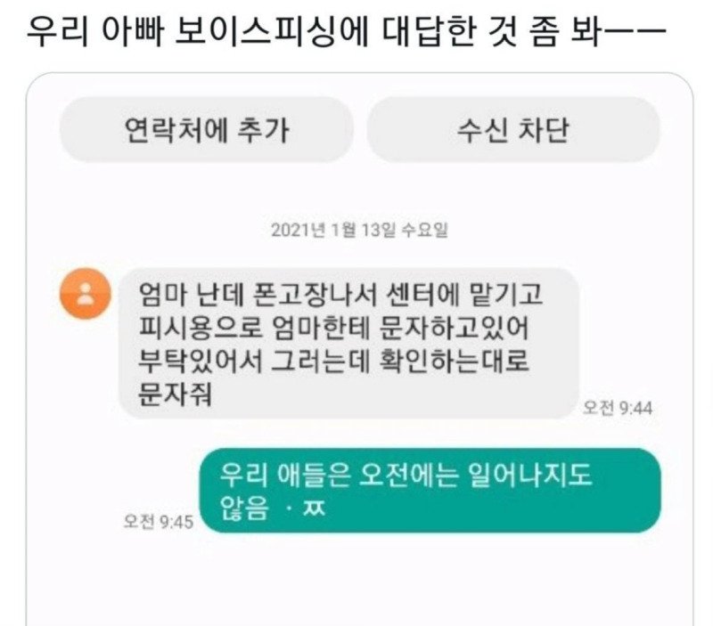 스캠에 현명하게 대답하는 아빠