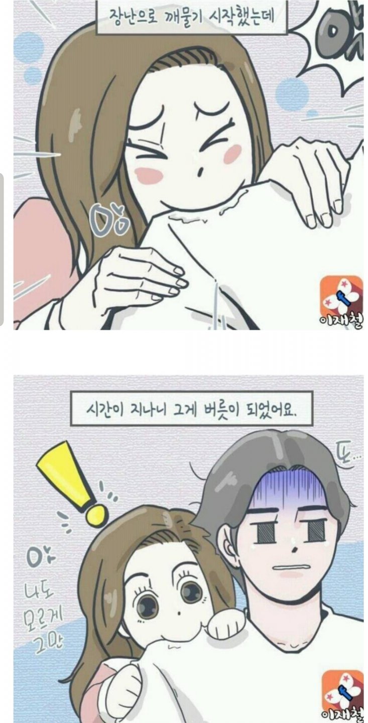 댕댕이과 휴먼