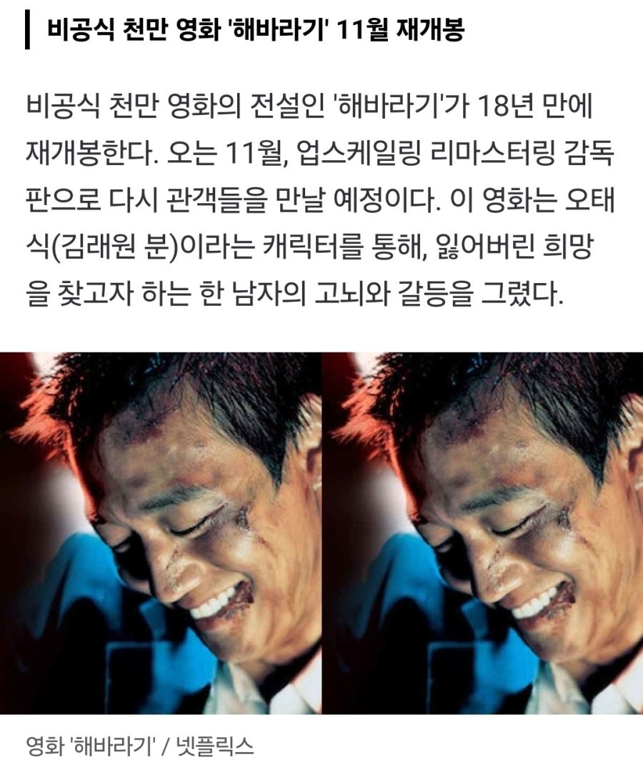 비공식 천만 영화로 유명한 해바라기 근황