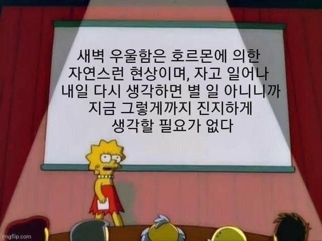 새벽에 우울할때 보는 짤