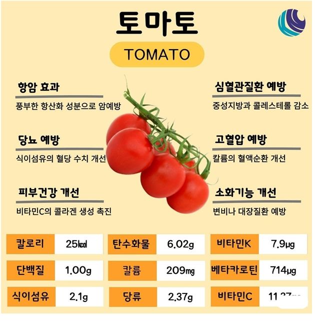 토마토의 특징