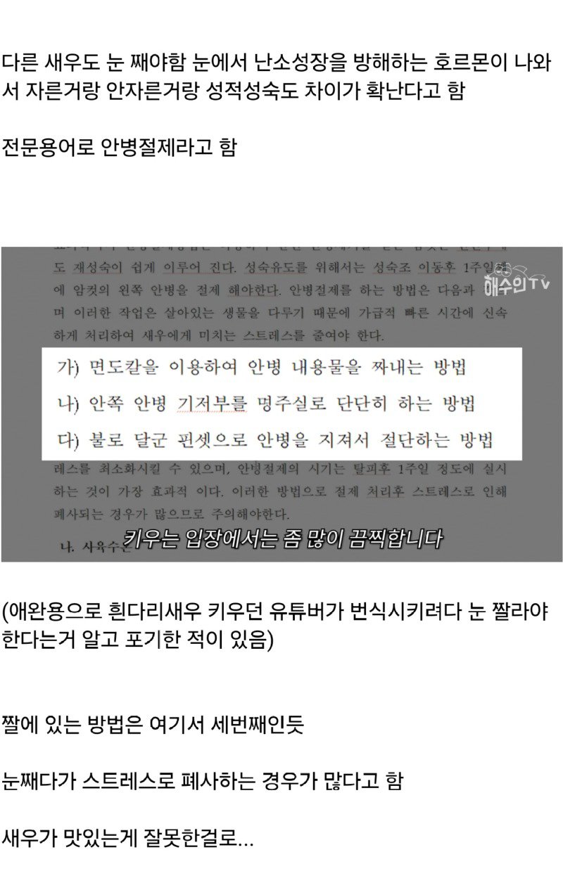 좆간이 또...타이거 새우 양식하는 방법.....JPG