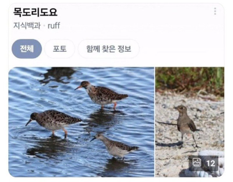 여러분 날도 추운데 겉옷 잘 챙겨입으세요 그리고