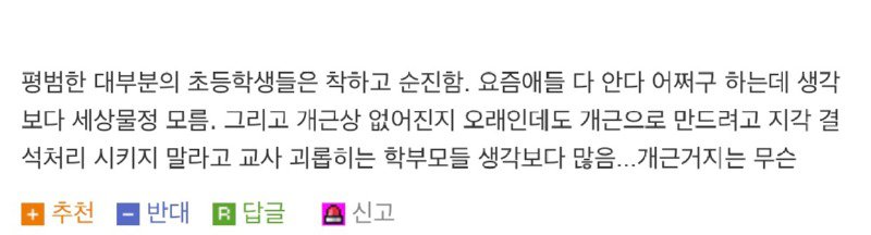 ?요즘 초등학생이 쓰는 단어?의 진실.jpg