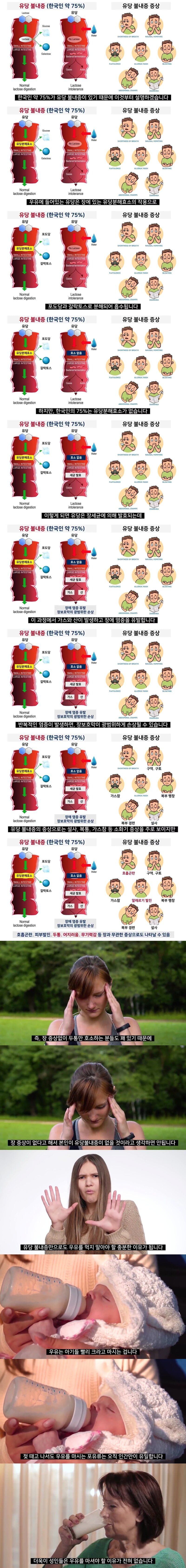 한국인에게 우유가 안맞는 이유