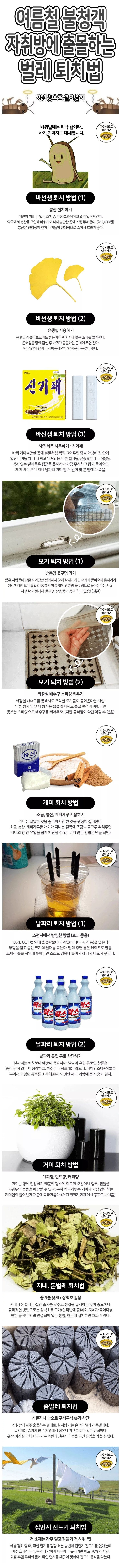 여름철 불청객 자취방에 출몰하는 벌레 퇴치법