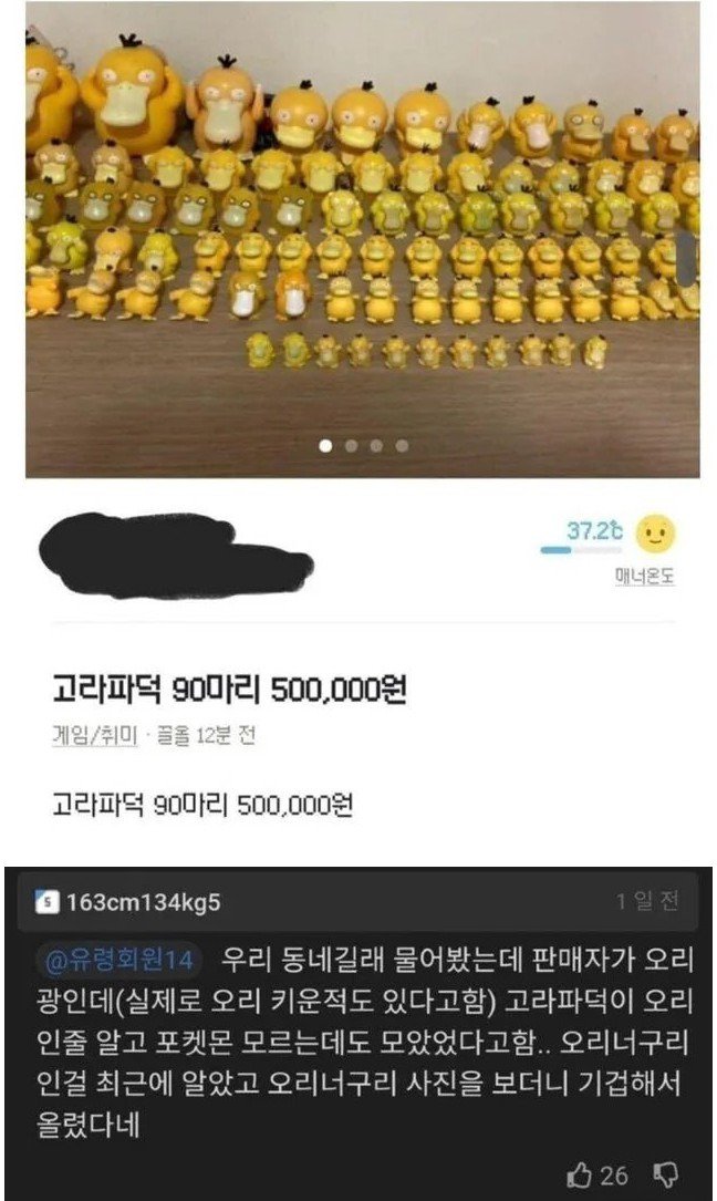 당근에 올라온 고라파덕 90마리