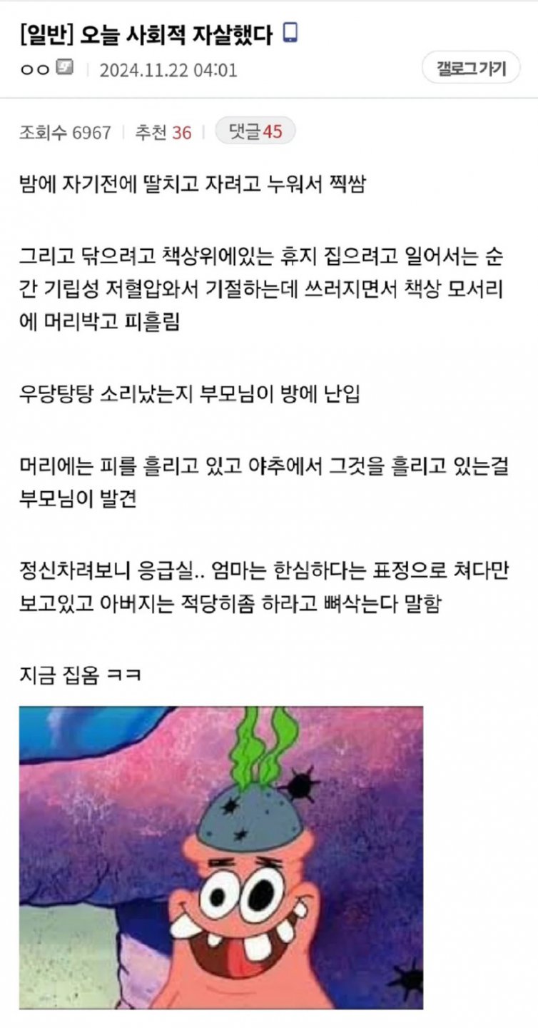 사회적 자살을 한 디시인