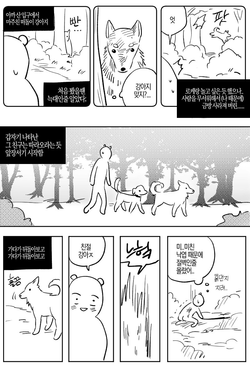 산에서 길을 잃었는데 모르는 댕댕이가 도와준 manhwa