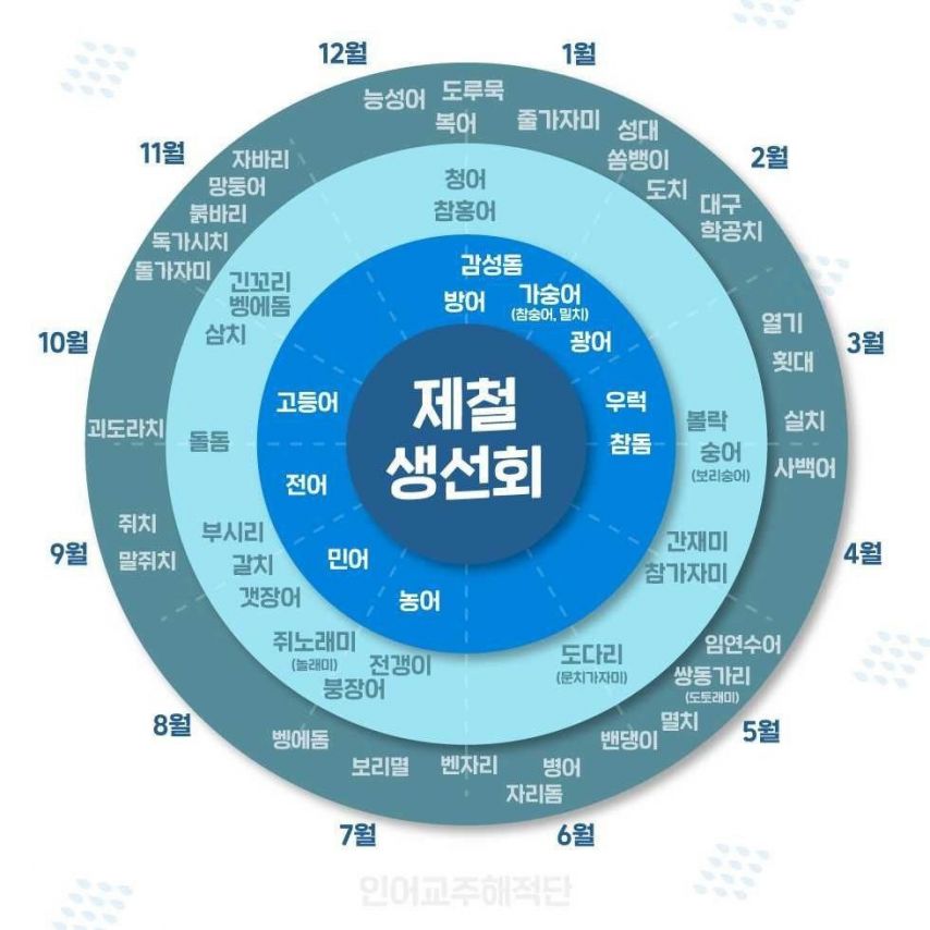 제철 생선회 쉽게 알아두기