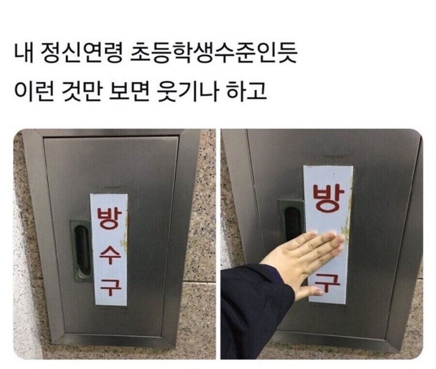 본인 정신연령 초딩 정도인거 같다는 사람