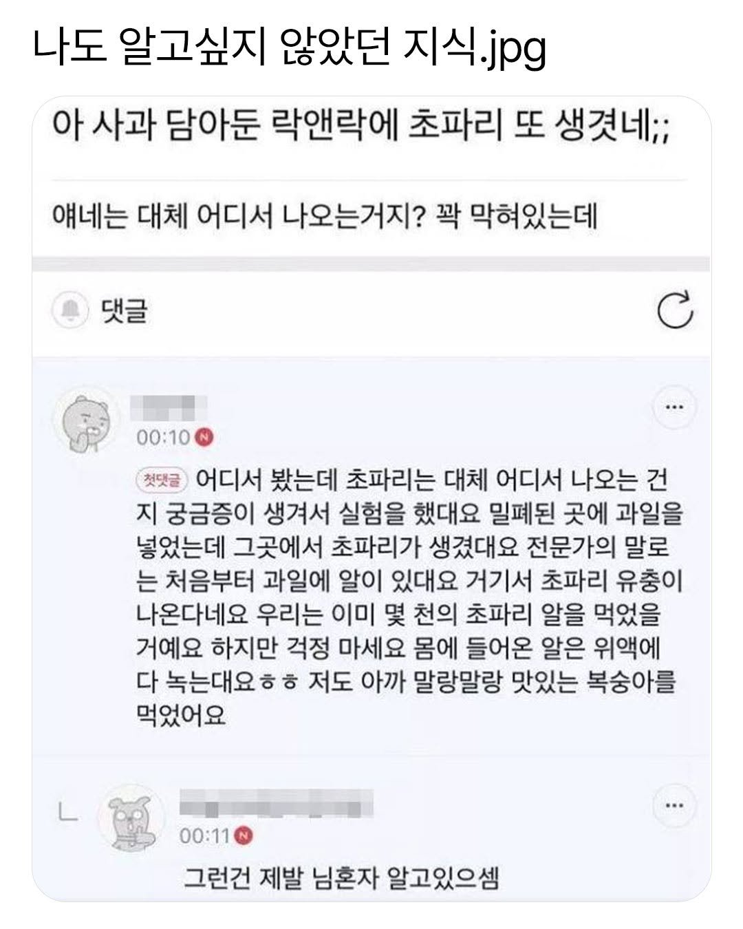 초파리 자연발생설에 믿음이 가는 이유