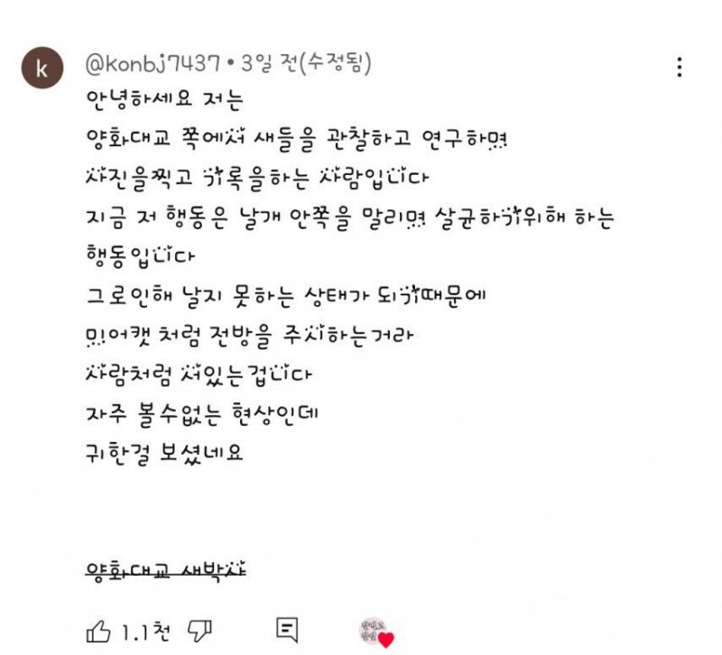 이상하게 서있는 새발견