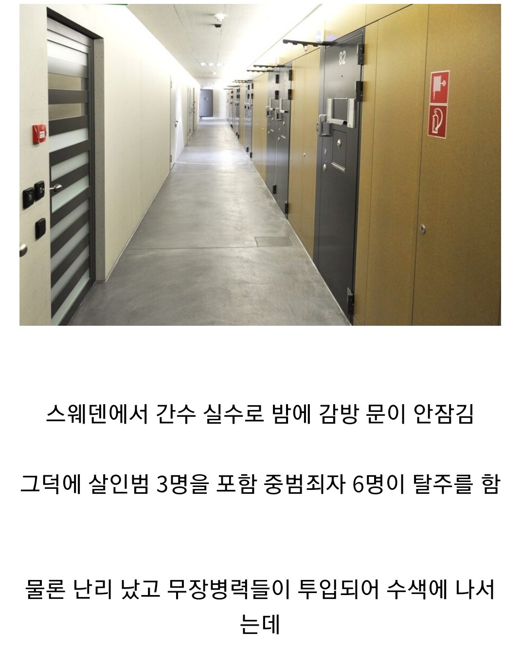 충격적인 스웨덴 살인범 6명 탈옥 결과