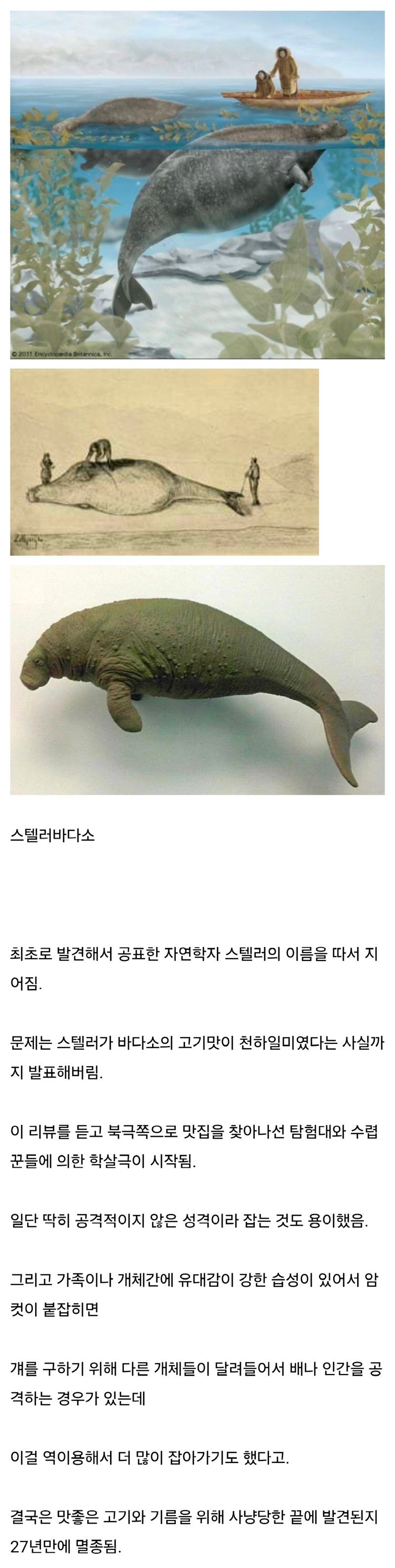 너무 맛있어서 멸종된 동물