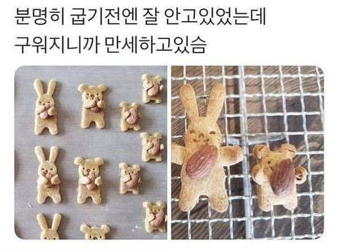 해맑고 힘도 쎈 사람 등등