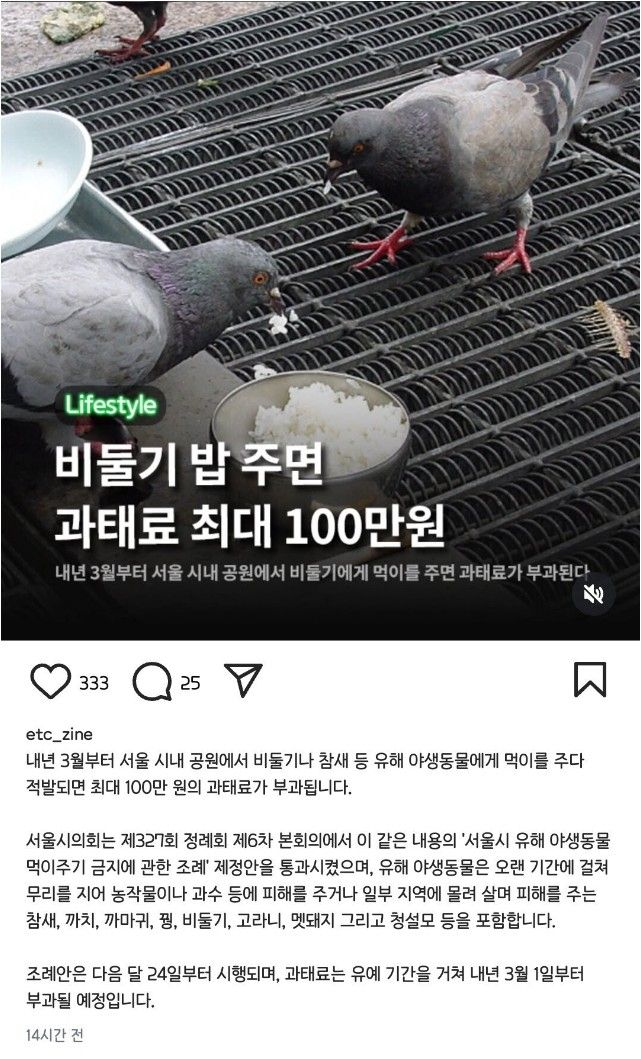 비둘기 밥 과태료