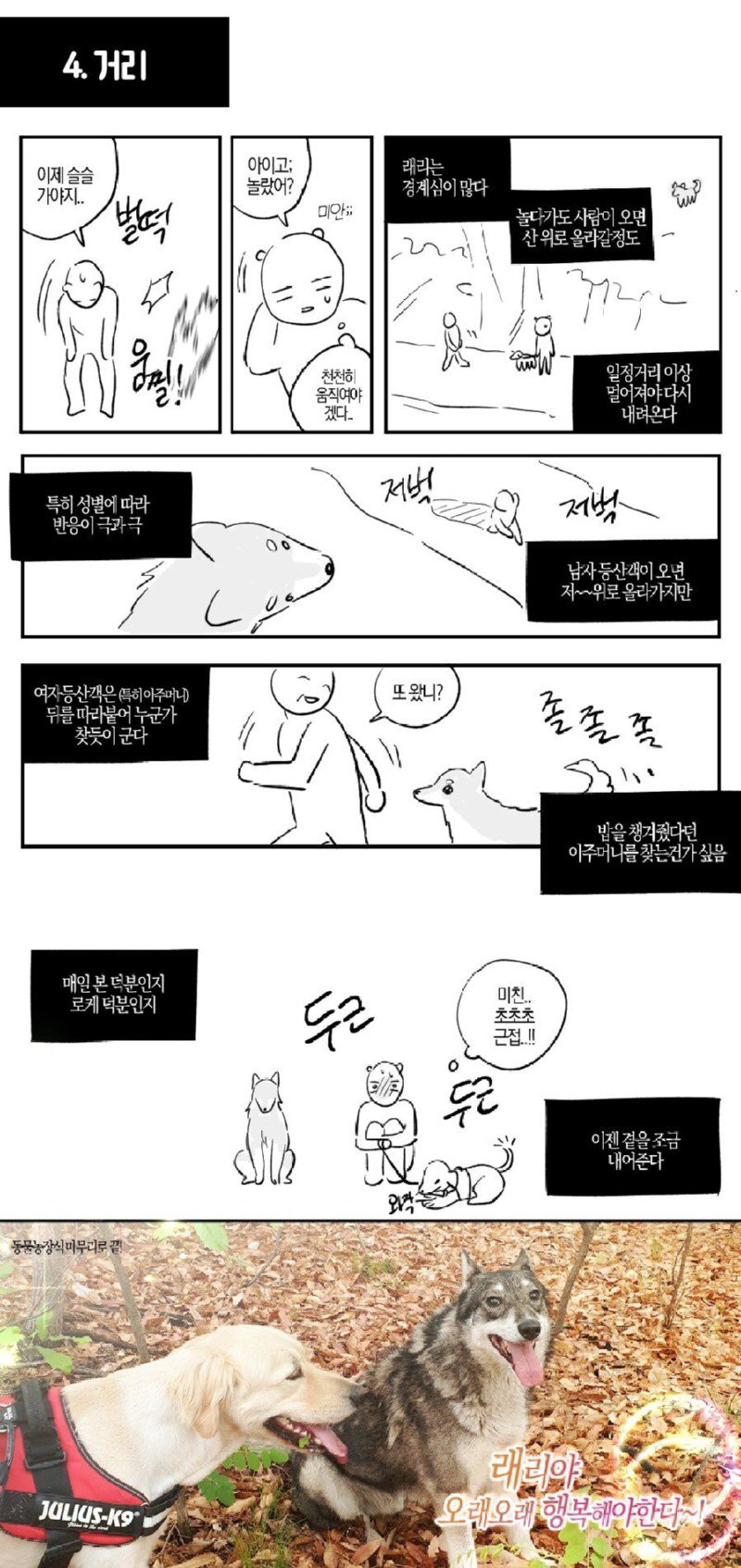 산에서 길을 잃었는데 모르는 댕댕이가 도와준 manhwa