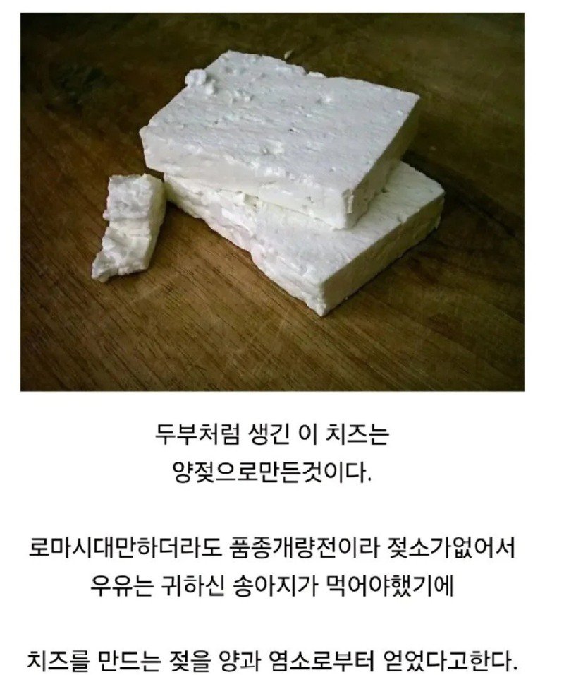 싸구려에서 고급으로 신분역전한 음식들.jpg