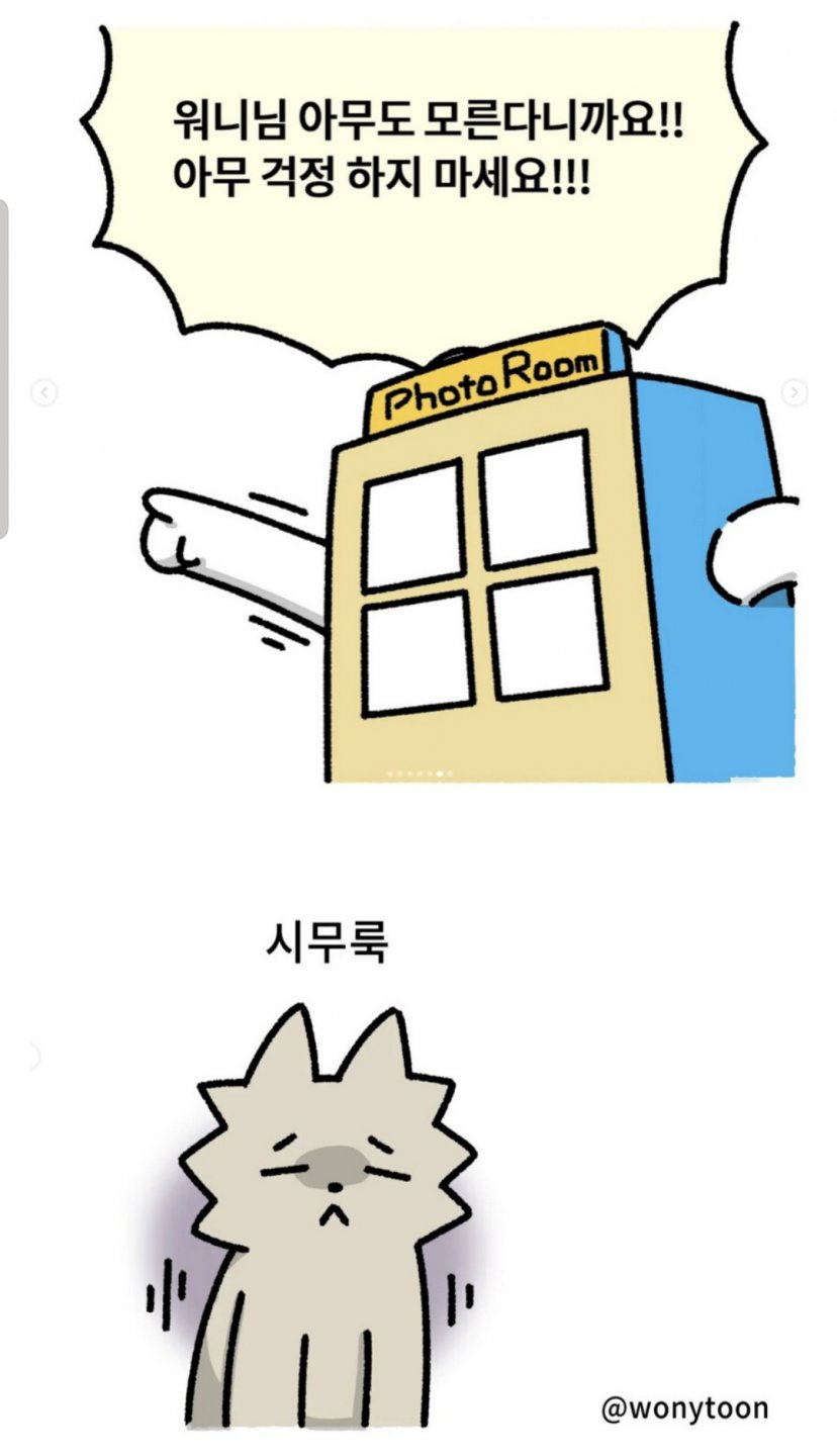 골방환상곡 워니 근황