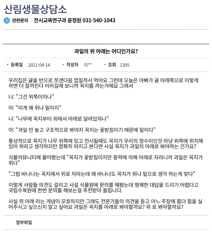 귤의 위, 아래는 어디인가?