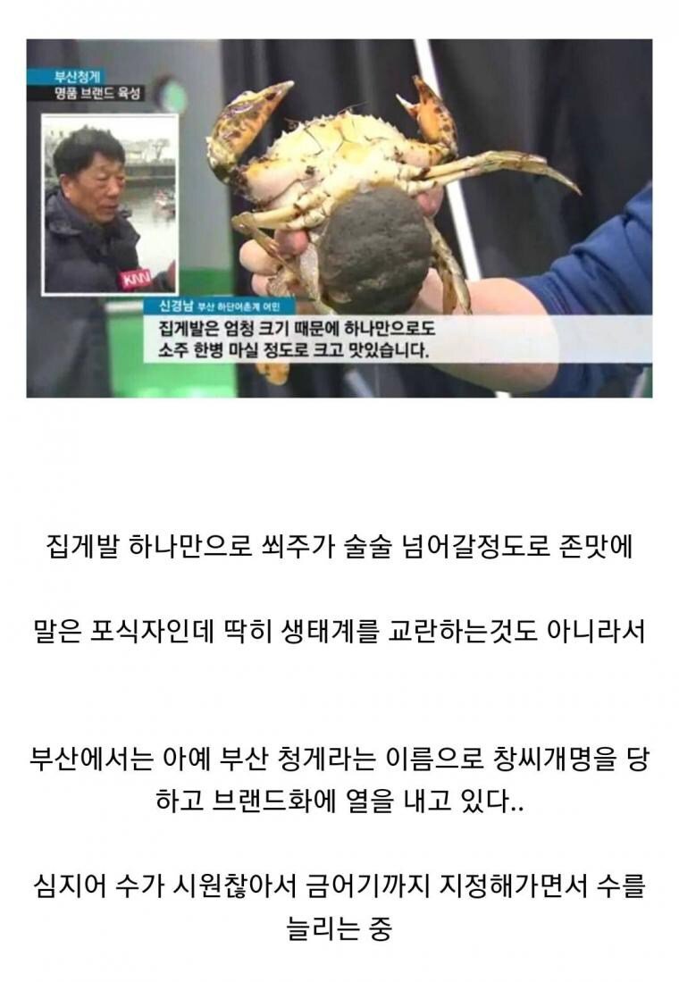  한국에 당당히 들어온 외래종!!!