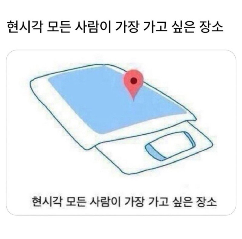 현시각 모든 사람이 가장 가고 싶은 장소