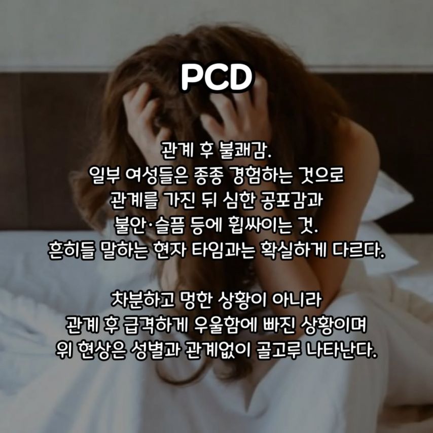 (약후) 알아두면 유익한 성 용어 정리