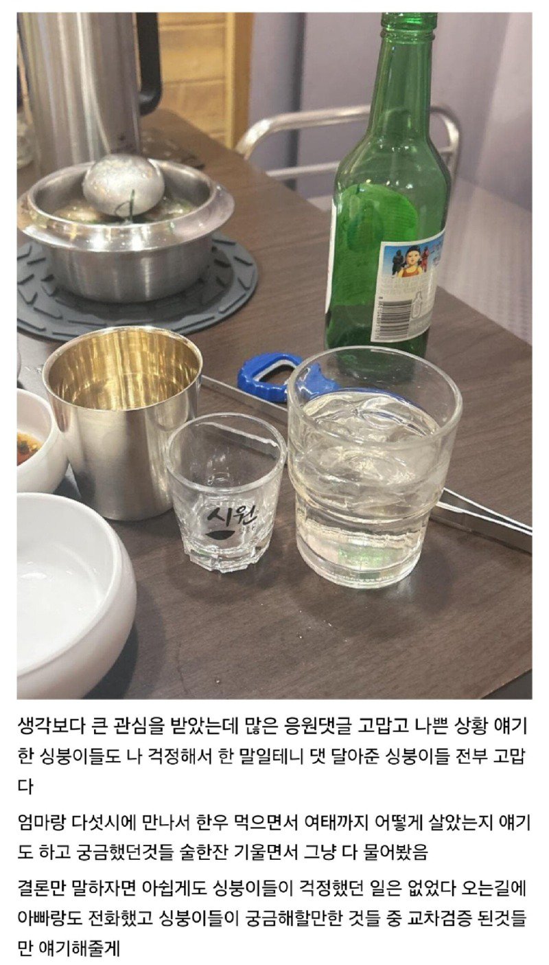 20년만에 엄마 처음보고 온 디시인.jpg