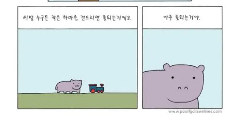 도로 위 작은하마.jpg