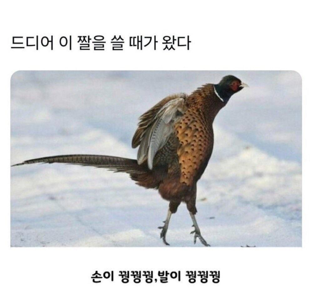 오늘 날씨상황.jpg